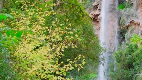 Beautiful large waterfall in a real time. Stock Footage 221932331