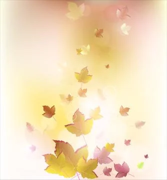 Beautiful leaves background Stock Illustration