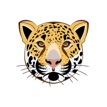 Beautiful leopard head vector illustration isolated on white backgorund. Stock Illustration