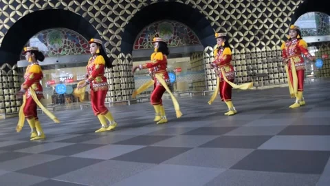 Beautiful Life of Dancing 2! Stock Footage 207726486
