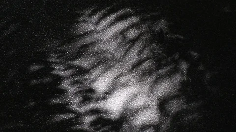 Beautiful light and shadow of tree leaves on asphalt ground Stock Footage 92070740