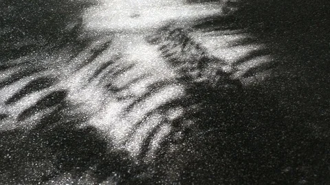 Beautiful light and shadow of tree leaves on asphalt ground Stock Footage 92072992