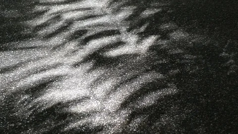 Beautiful light and shadow of tree leaves on asphalt ground Stock Footage 92074773