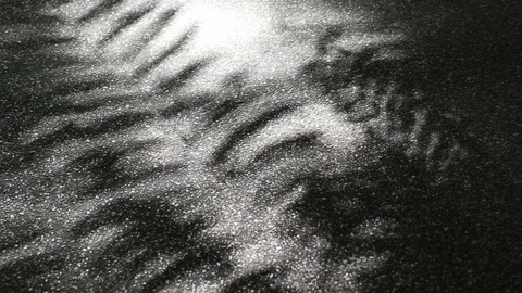 Beautiful light and shadow of tree leaves on asphalt ground Stock Footage 92075918