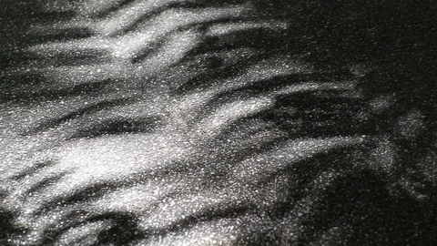 Beautiful light and shadow of tree leaves on asphalt ground Stock Footage 92076773