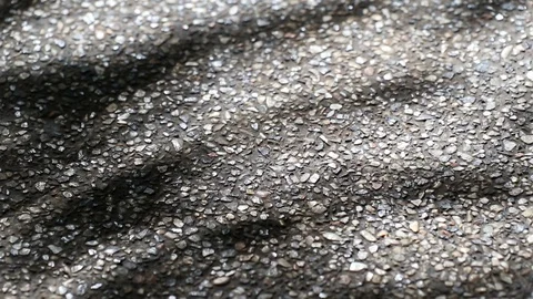 Beautiful light and shadow of tree leaves on asphalt ground Stock Footage 92105871