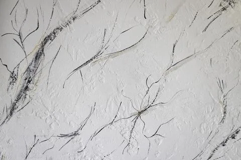 Beautiful light  background texture with black and grey lines. Abstract bac.. Stock Photos