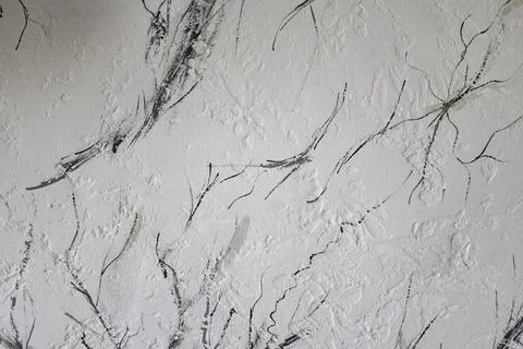 Beautiful light  background texture with black and grey lines. Abstract bac.. Stock Photos