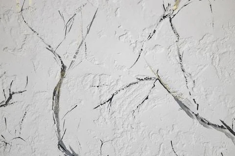 Beautiful light  background texture with black and grey lines. Abstract bac.. Stock Photos