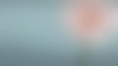 Beautiful Light Blurred Background Stock Footage 68745599