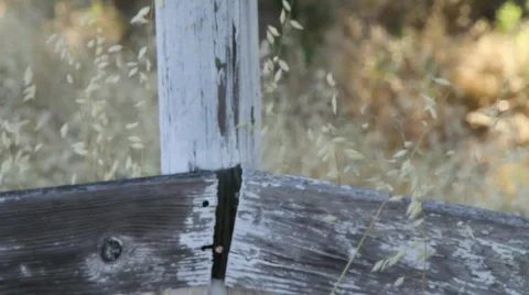 Beautiful Light Stock Footage 739973