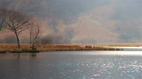 Beautiful Light on Lake Reflection - English Countryside (720) Stock-Footage 40769293
