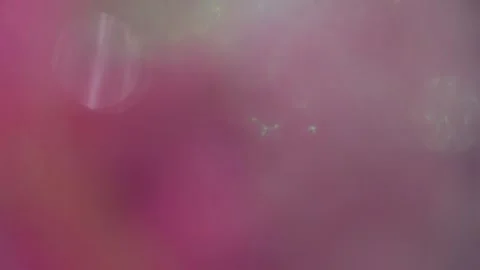 Beautiful light leaks in the pink background bokeh composite video 스톡 동영상 317541738