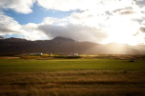 Beautiful light over a meadow during sunrise. Close to the ground, much of .. Stock Photos