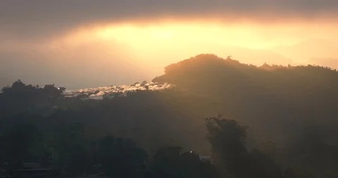 Beautiful light rays striking fresh tea plants in Cameron Highlands, Malaysia Stock Footage 118443746
