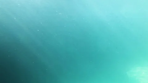 Beautiful light rays underwater Stockbeeldmateriaal 100982814