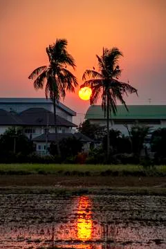 Beautiful light of Sunset with clouds in the sky reflection behind the buildi Stock Photos