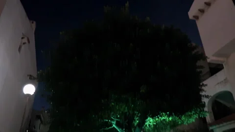 Beautiful Lighted Round Green Tree in Spanish Garden Tilt 動画素材 196848543