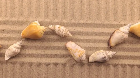 Beautiful lighting effects. Rotation sand in the form of a lines and seashell Stock Footage 74528080