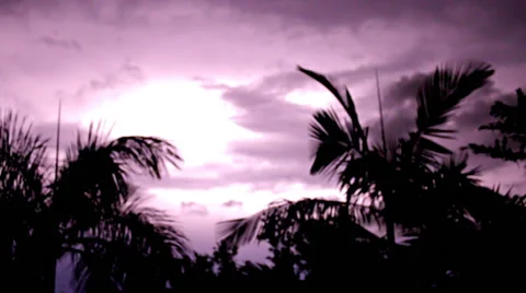Beautiful lighting stormy night Stock Footage 33931519