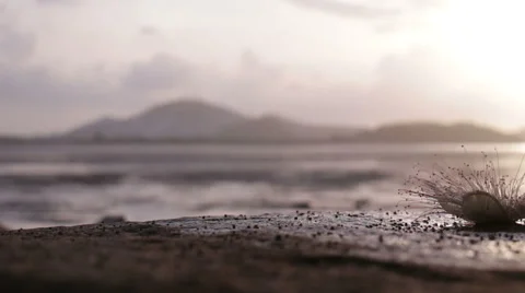 Beautiful lighting at sunrise. Stock Footage 67268740