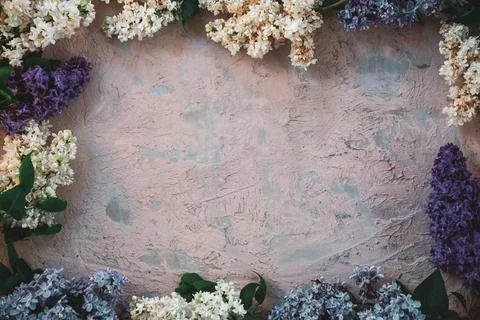 The beautiful lilac on a wooden surface Foto stock