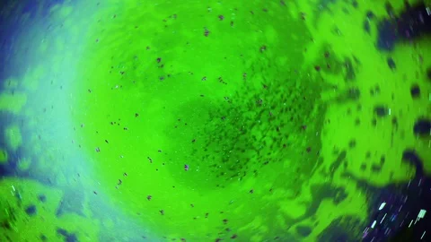 Beautiful liquid dye spin with black dots and abstract pattern Stock Footage 127723684