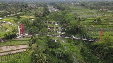 Beautiful little bridge Stock Footage 146064778