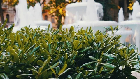 Beautiful live fountains of bubbling water in the park in Baku, Azerbaijan Stock Footage