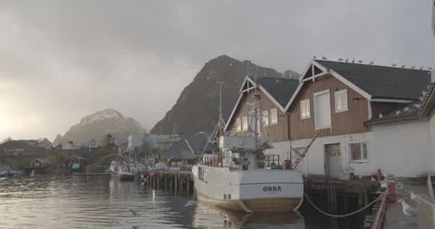 Beautiful Lofoten Stock-Footage 168029469