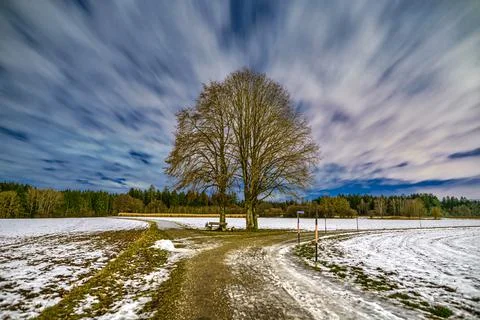 Beautiful long exposure of moving clouds over a single tree at a snowy winter 库存照片
