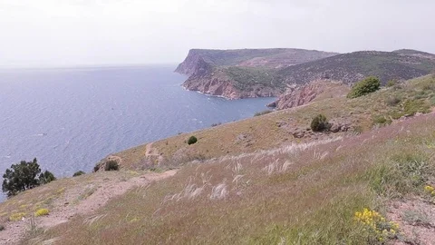 Beautiful long grass moving in wind. Near the sea. Nice view. Mountains. Stock Footage 76087222