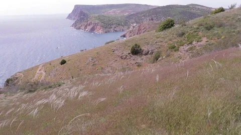 Beautiful long grass moving in wind. Near the sea. Nice view. Mountains. Stock Footage 76087825
