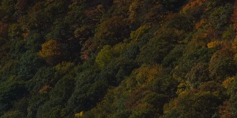 Beautiful long, slow pan up of fall color on layers ofBlue Ridge Mountains  Stock Footage 103399803