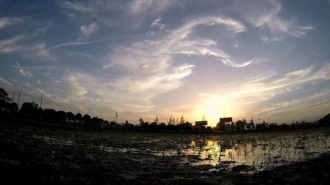 Beautiful Long Sunset Lapse Over The Field Time Lapse Stock Footage 74569829