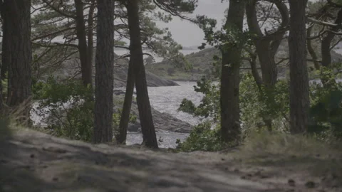 Beautiful lookout to the ocean 스톡 동영상 326229302