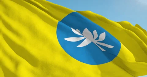 Beautiful looping flag blowing in wind: Kalmykia Video stock 62062639