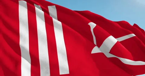 Beautiful looping flag blowing in wind: Jammu Kashmir Stock Footage 62064213