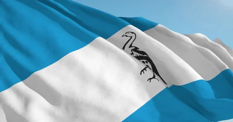 Beautiful looping flag blowing in wind: Ciskei Stock Footage 62066252