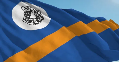 Beautiful looping flag blowing in wind: Bophuthatswana Stock Footage 62067939