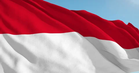 Beautiful looping flag blowing in wind: Indonesia Stock Footage 62068474