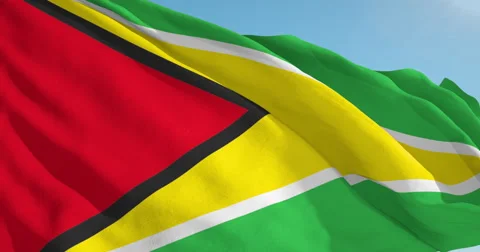 Beautiful looping flag blowing in wind: Guyana Stock Footage 62072652