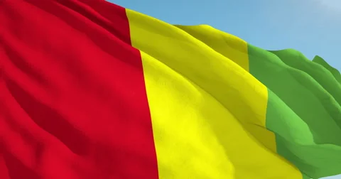 Beautiful looping flag blowing in wind: Guinea Stock Footage 62072787