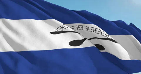 Beautiful looping flag blowing in wind: Gazan Kula Vídeos de archivo 62076533