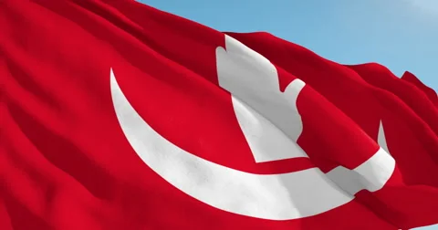 Beautiful looping flag blowing in wind: Anjouan Stock Footage 62156540