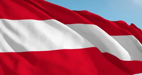 Beautiful looping flag blowing in wind: Austria Vídeos de archivo 63110179