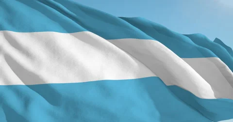 Beautiful looping flag blowing in wind: Argentina 動画素材 63110470