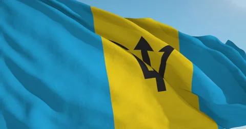 Beautiful looping flag blowing in wind: Barbados 動画素材 63112464