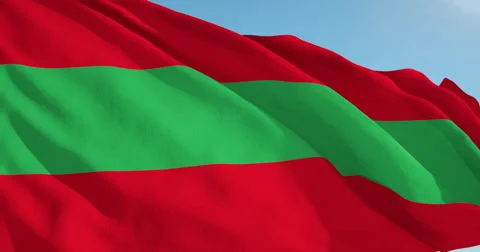 Beautiful looping flag blowing in wind: Trans Dniester Republic Stock Footage 63113229