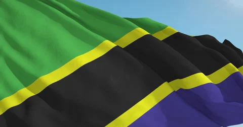 Beautiful looping flag blowing in wind: Tanzania Vídeo Stock 63114912